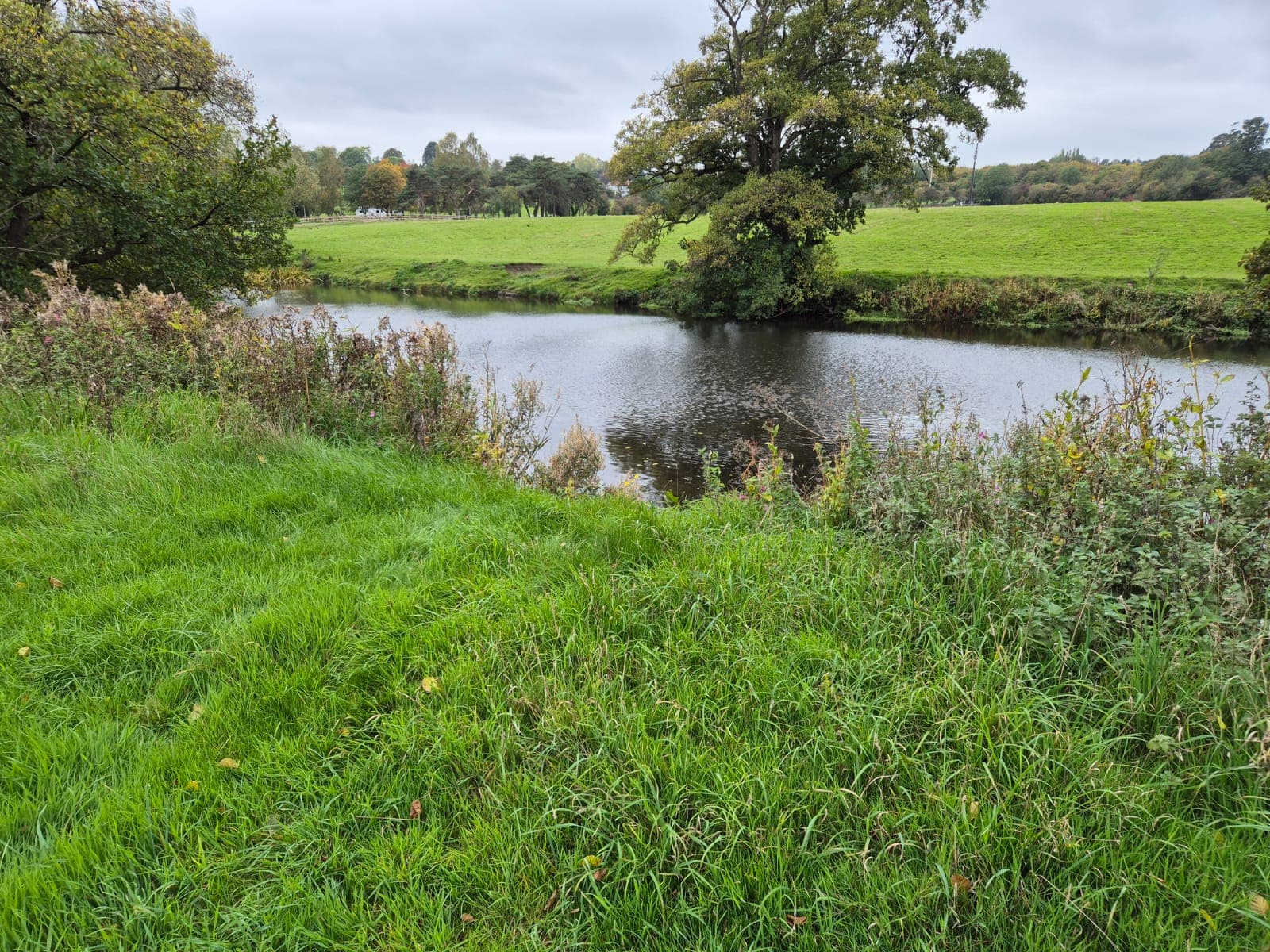 River Derwent – Darley Abbey photo 29