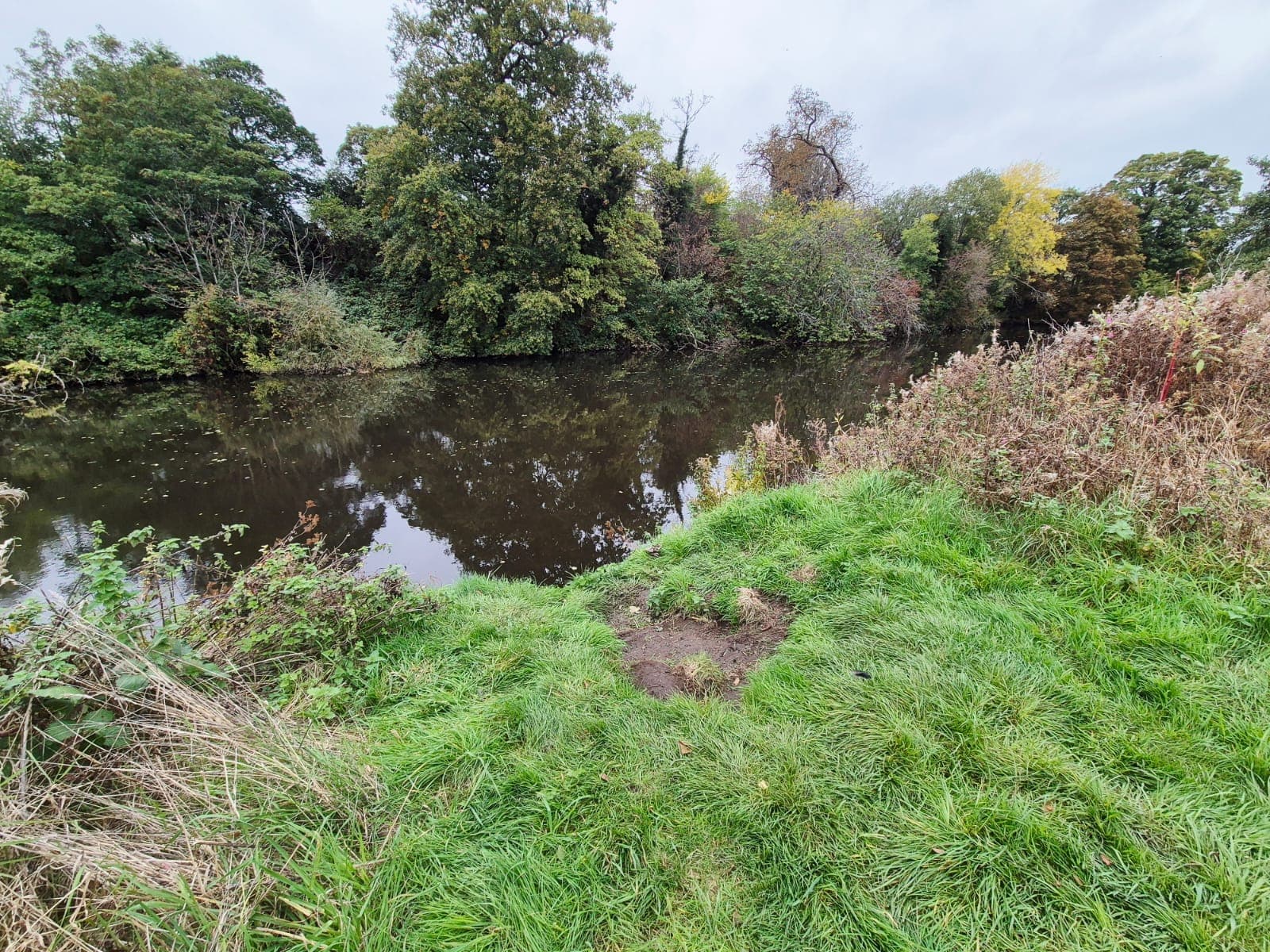 River Derwent – Darley Abbey photo 30