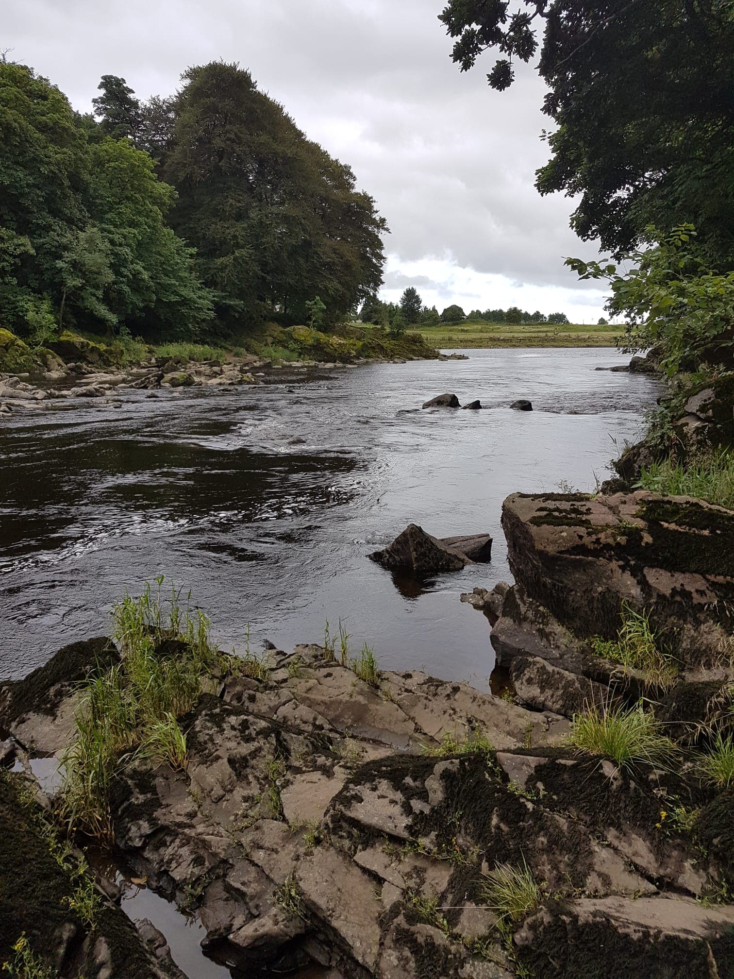 River Ribble – Hurst Green photo 6