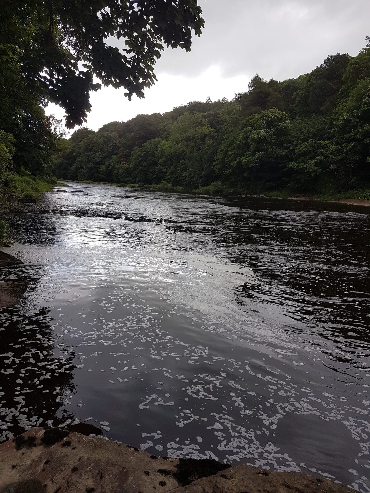 River Ribble – Hurst Green photo 7