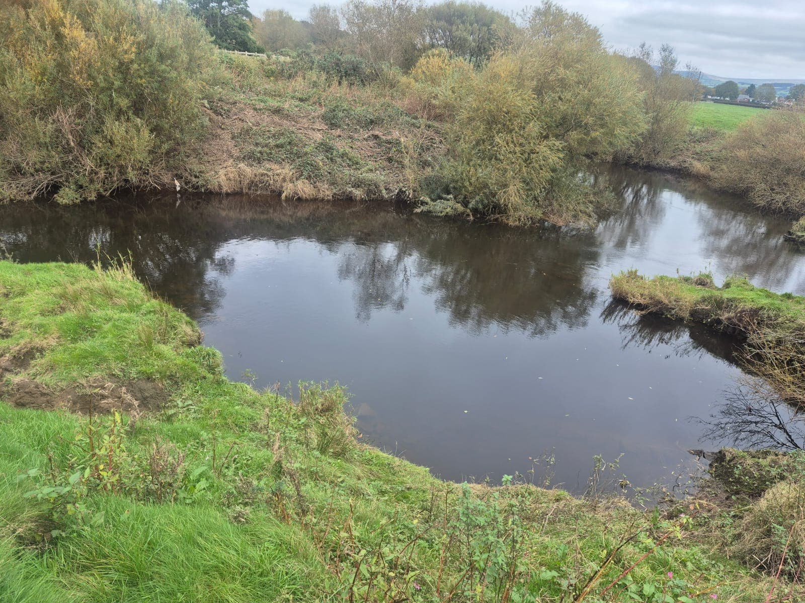 River Wyre – Churchtown photo 4