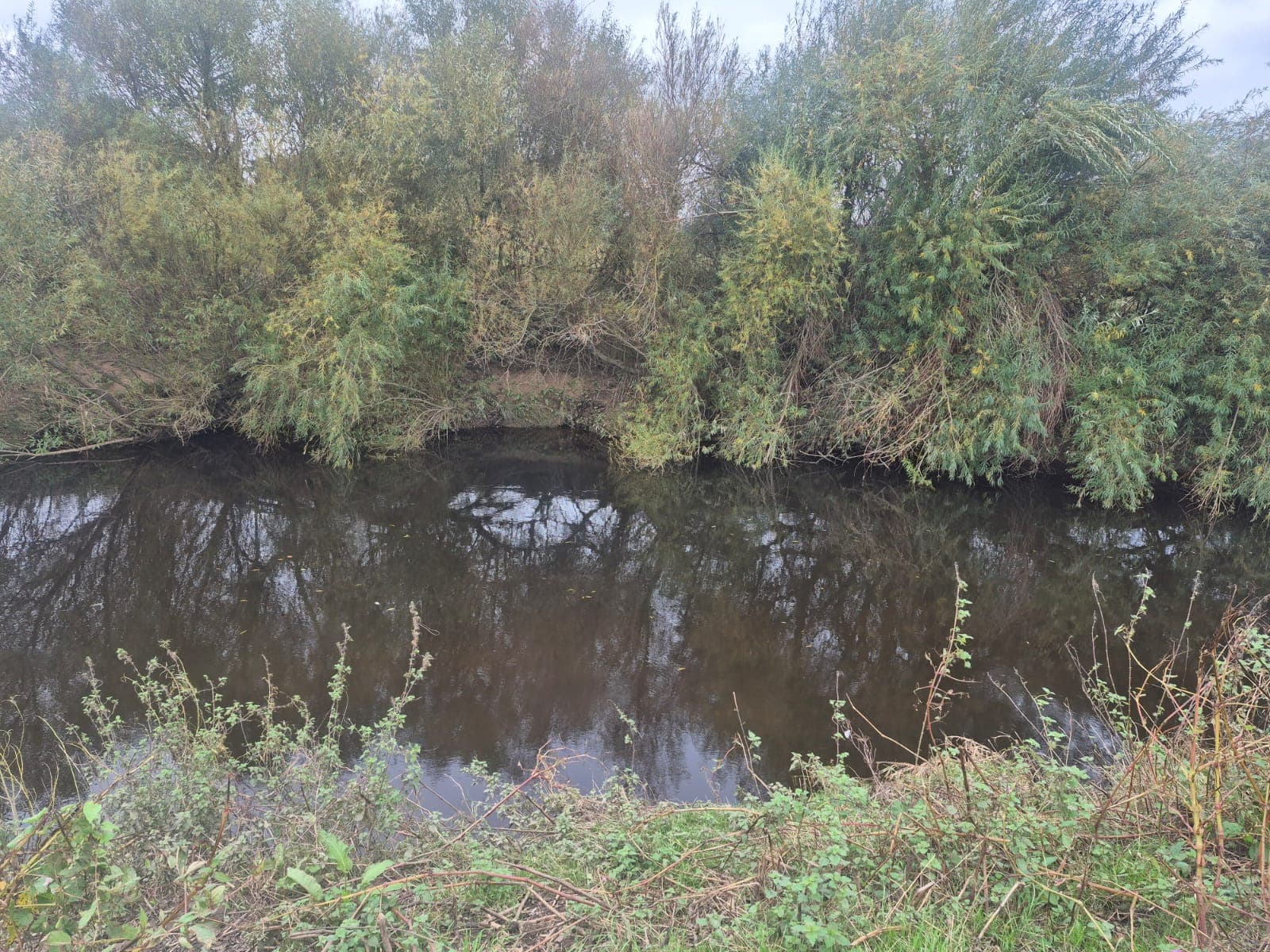 River Wyre – Churchtown photo 7