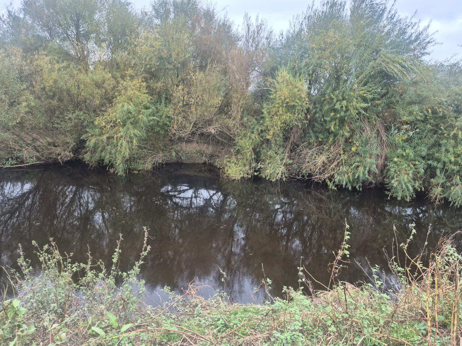 River Wyre – Churchtown photo 10