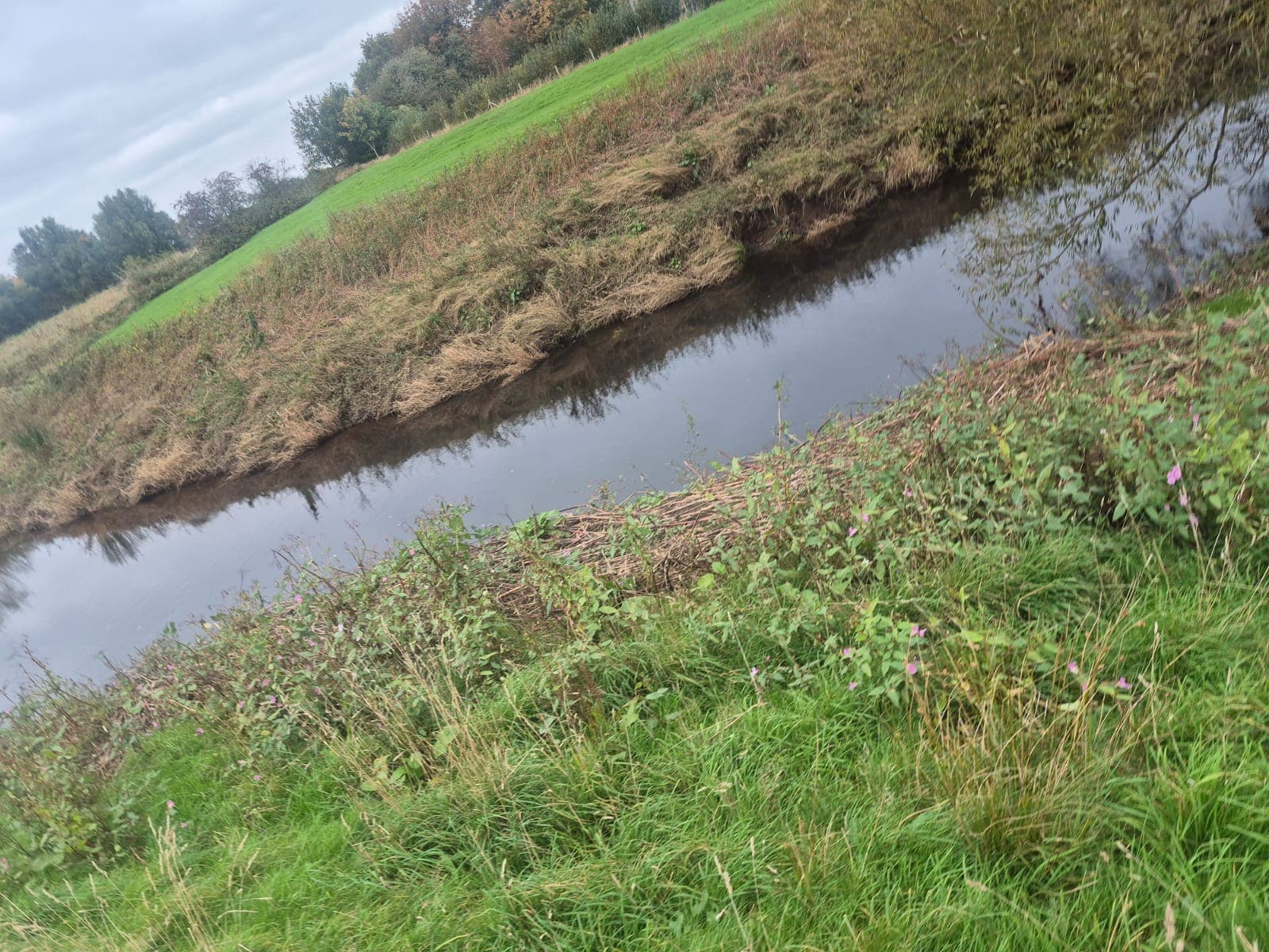 River Wyre – Churchtown photo 15