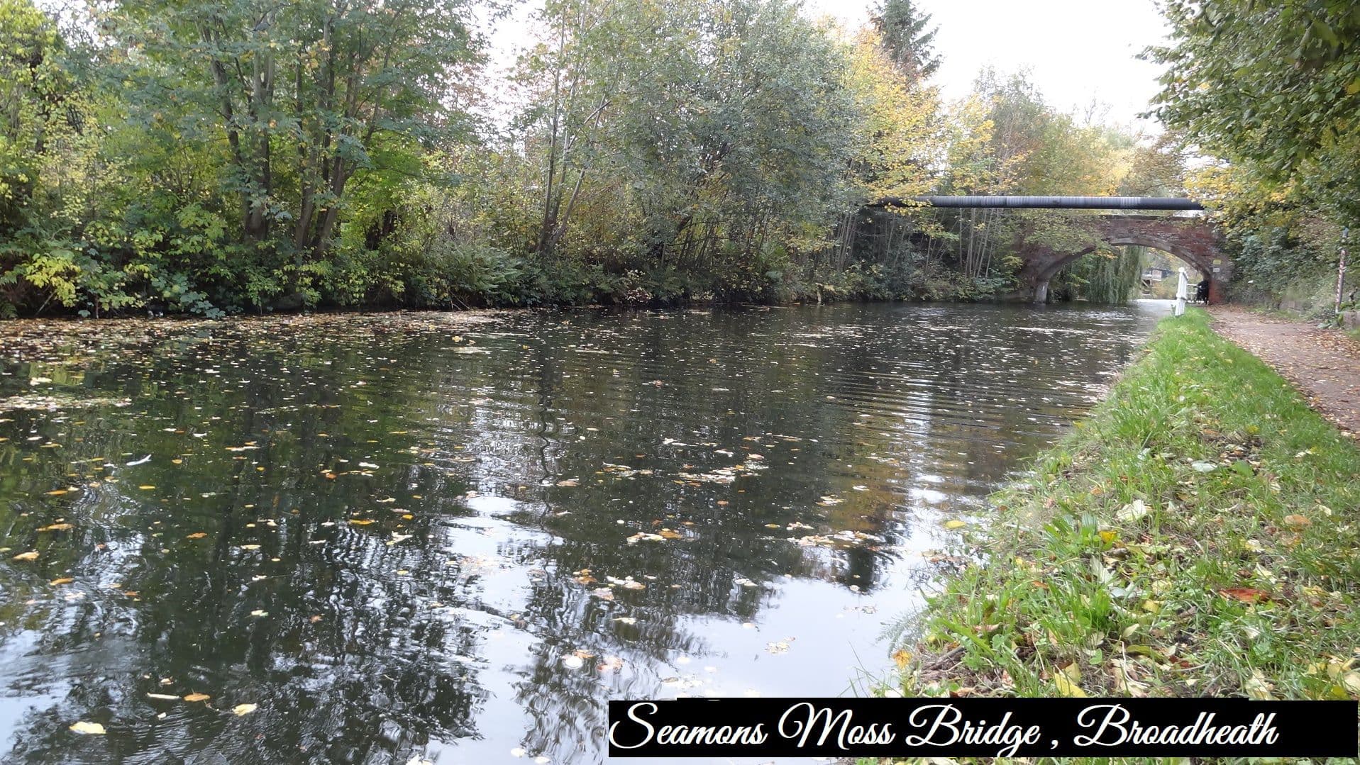  10 Seamons moss Br - Broadheath Br (ALTRINCHAM) photo 2