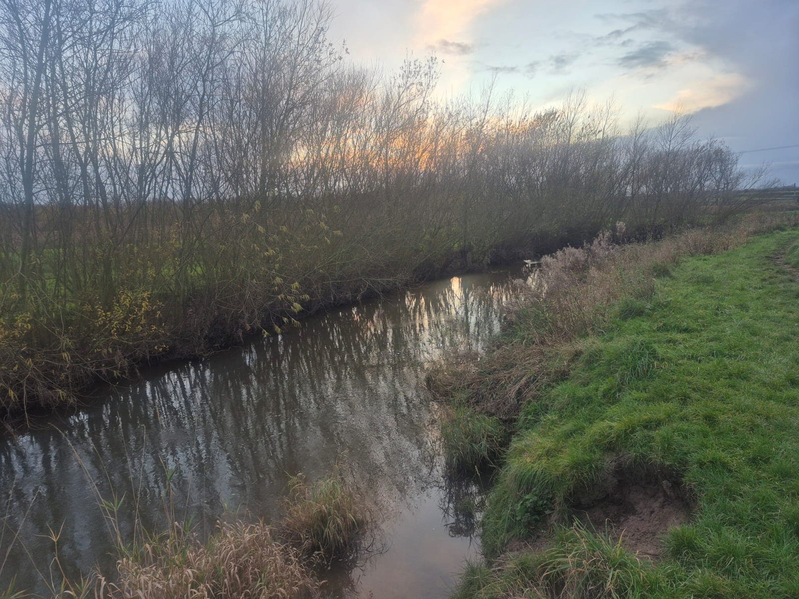 Gowy - Downstream of A56 photo 2