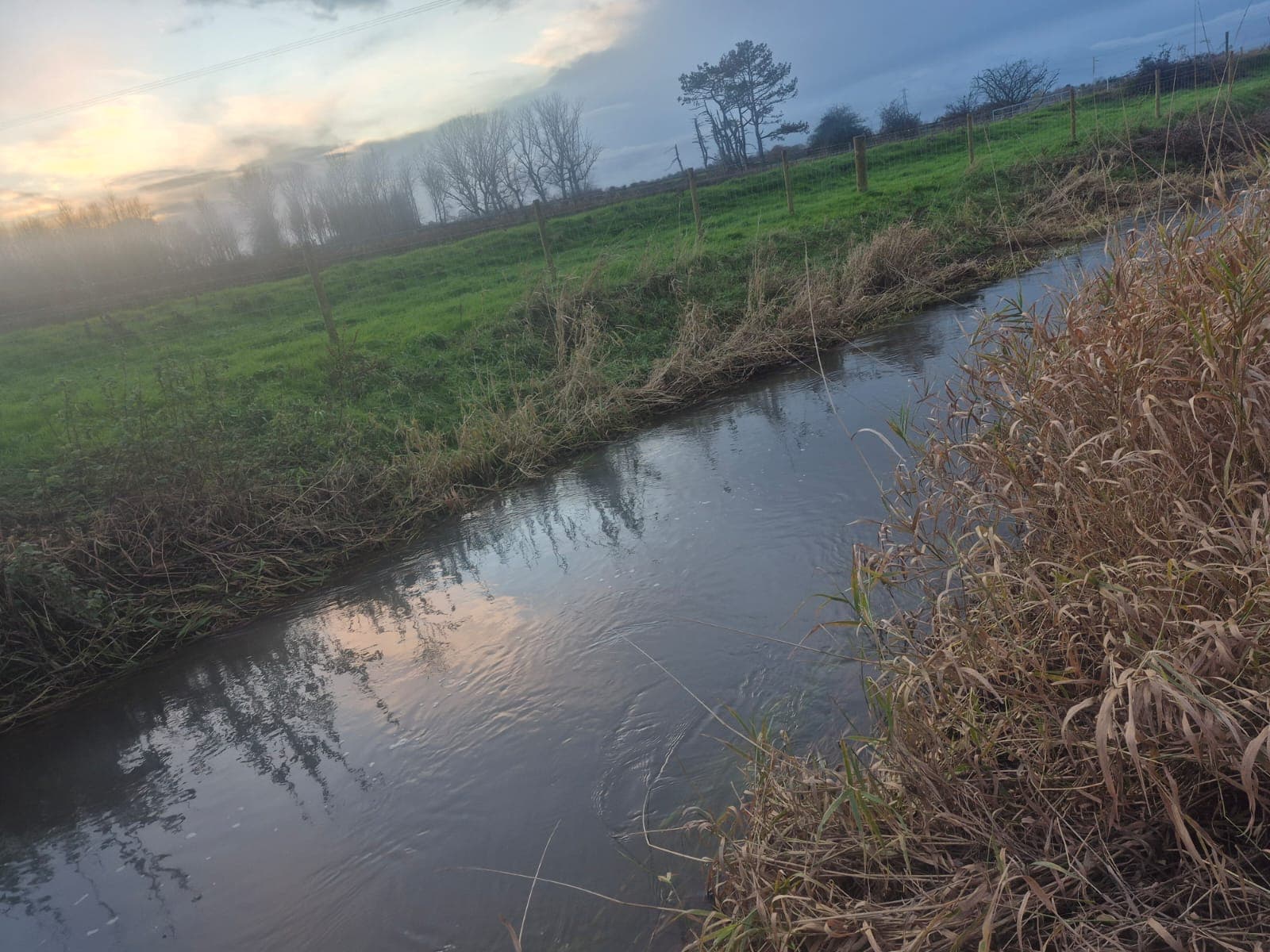 Gowy - Downstream of A56 photo 4