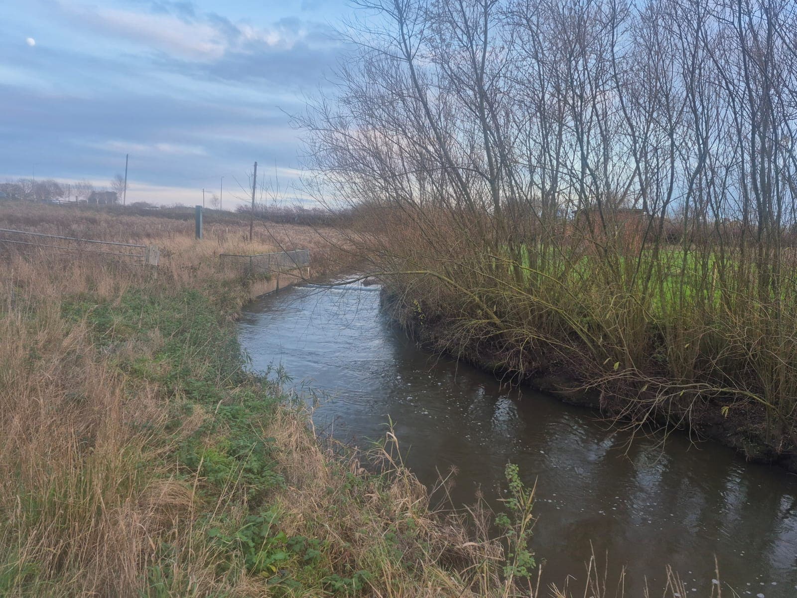 Gowy - Downstream of A56 photo 6