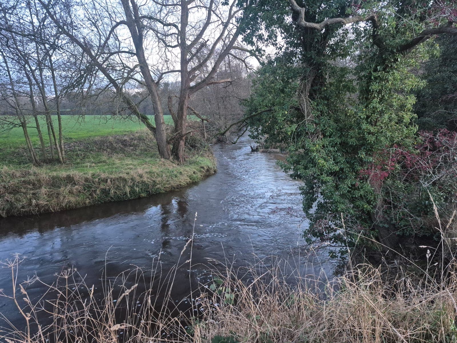 River Dane – Holmes Chapel