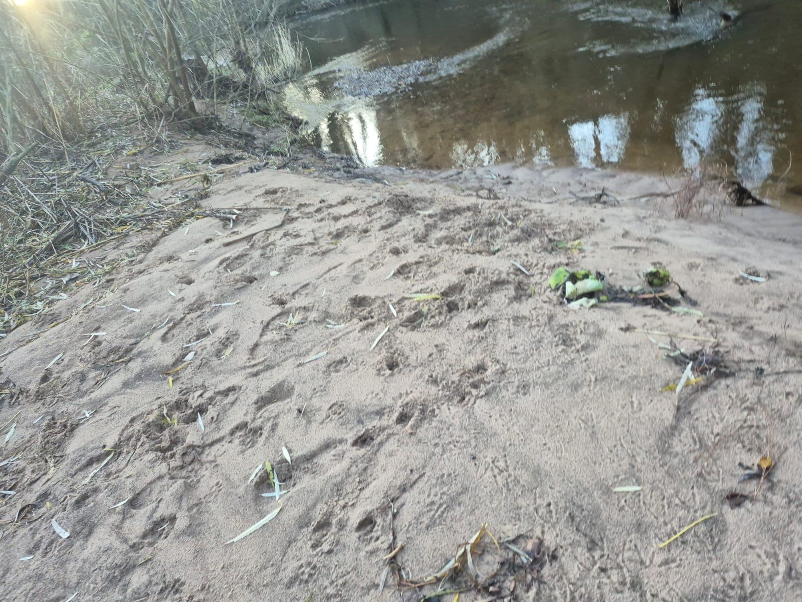 River Dane – Holmes Chapel photo 3