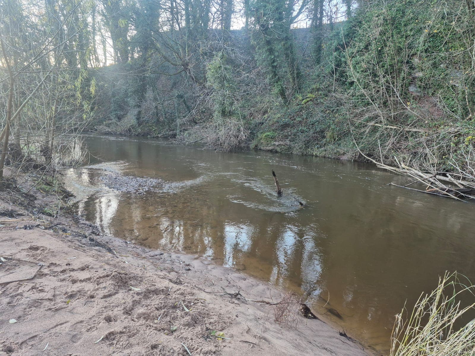 River Dane – Holmes Chapel photo 4