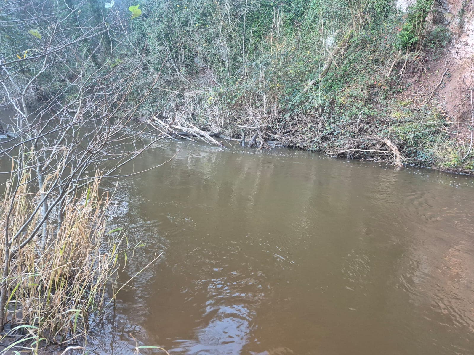 River Dane – Holmes Chapel photo 9