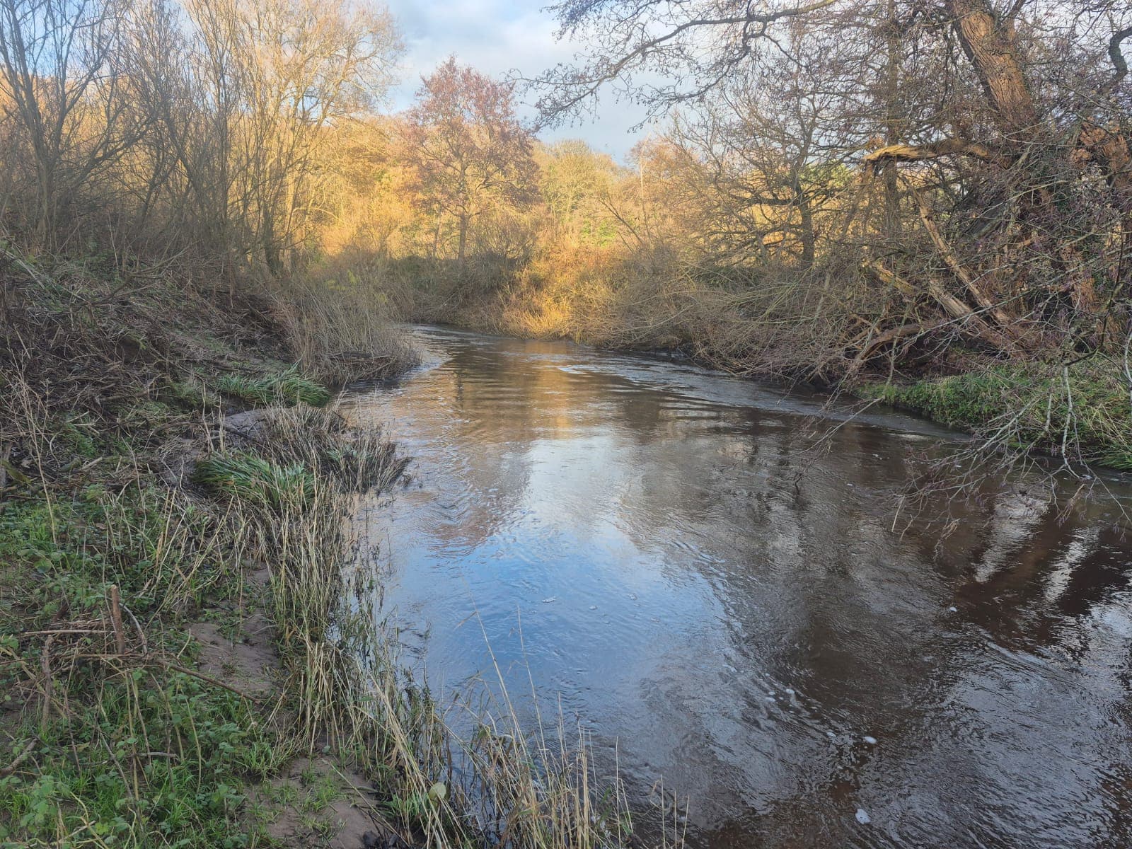 River Dane – Holmes Chapel photo 13