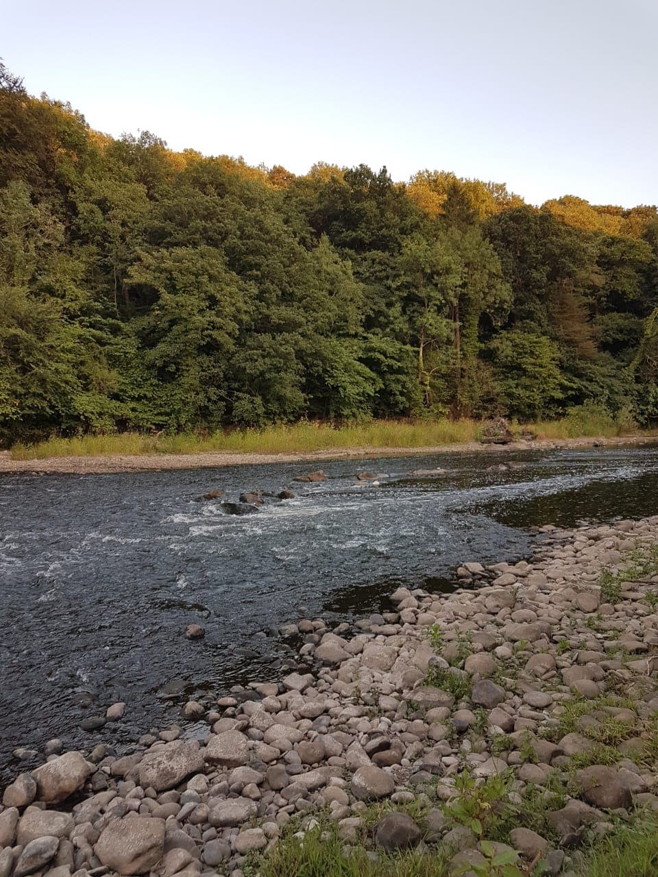 River Ribble – Hurst Green photo 9