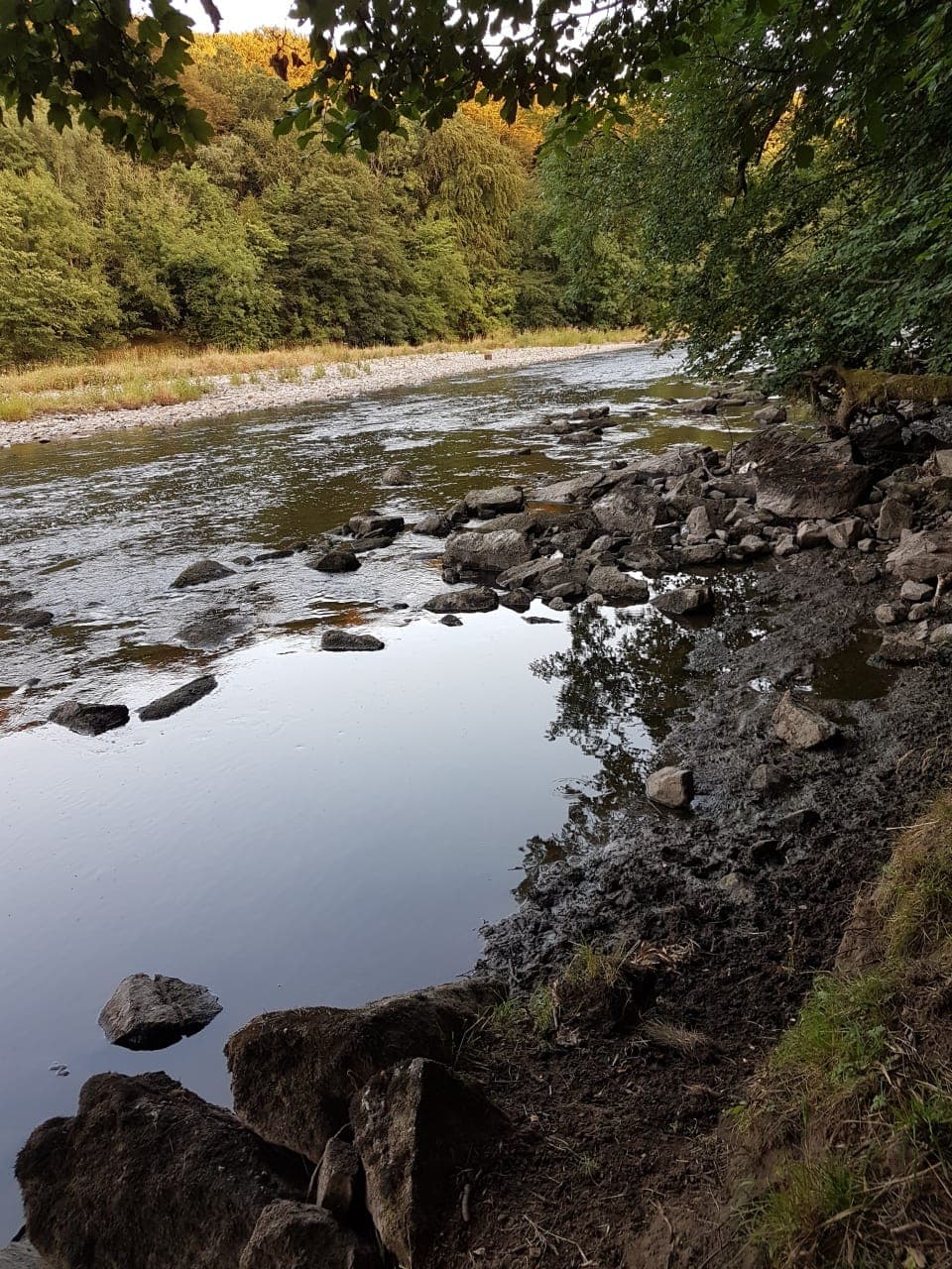 River Ribble – Hurst Green photo 10