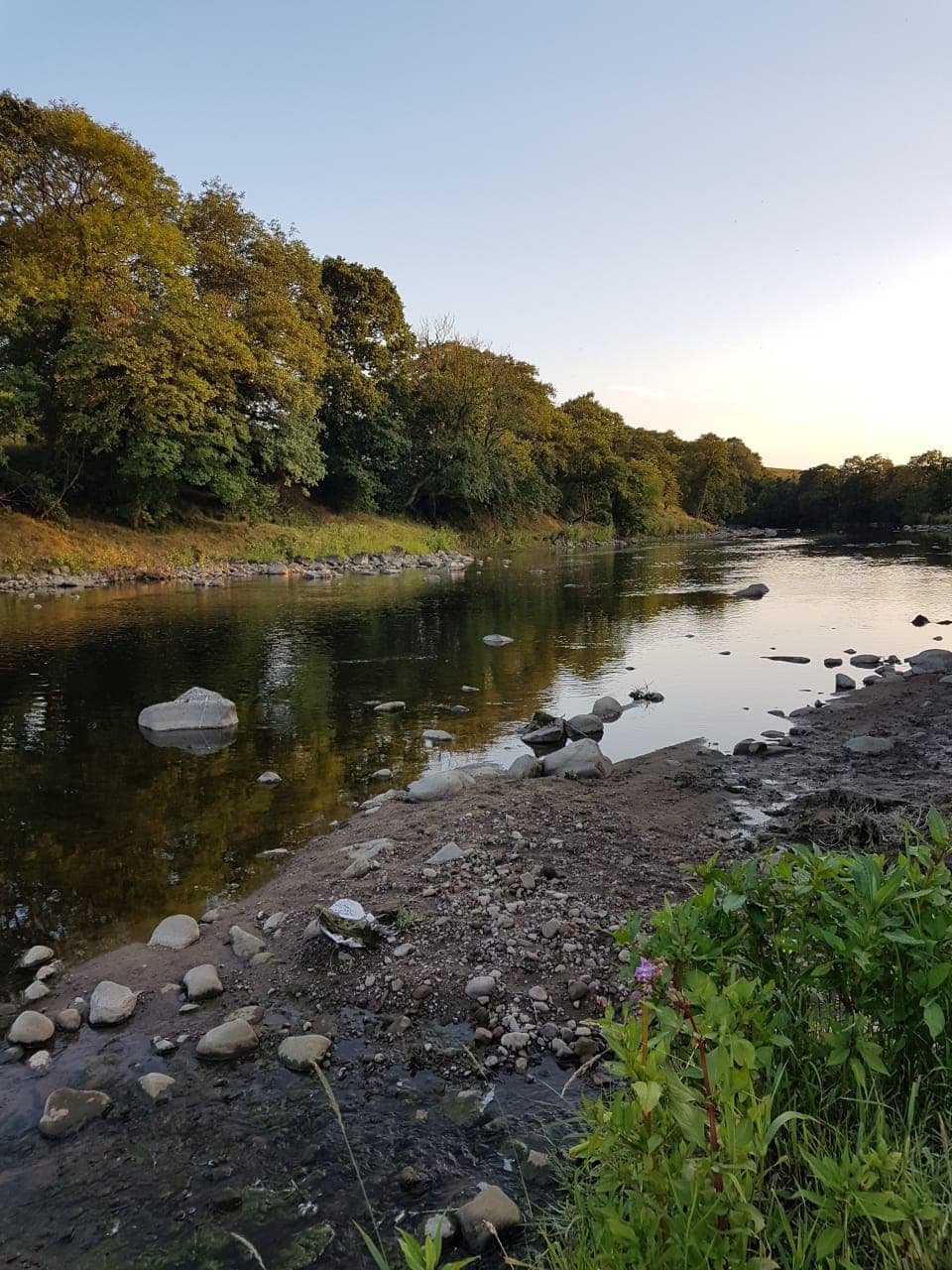 River Ribble – Hurst Green photo 12
