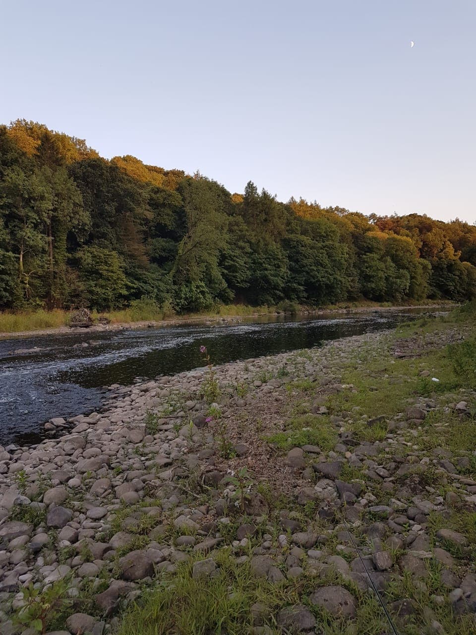 River Ribble – Hurst Green photo 13