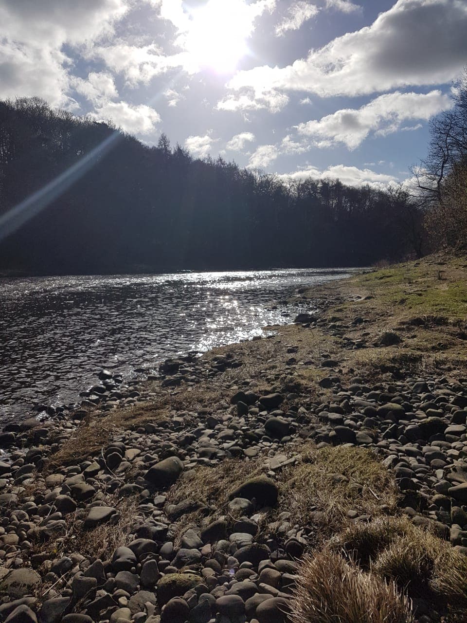 River Ribble – Hurst Green photo 14