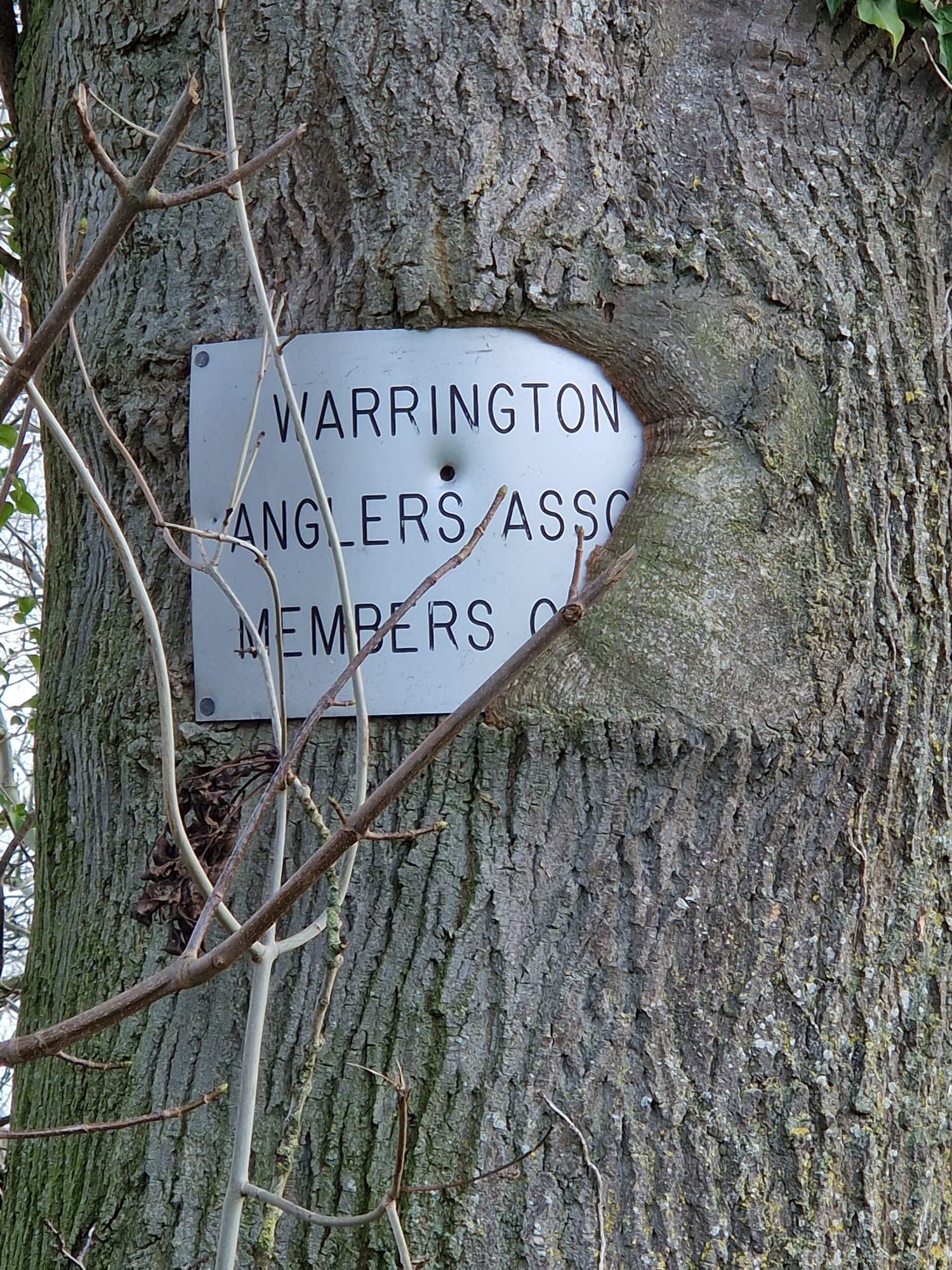 Vyrnwy - Llanymynech photo 2