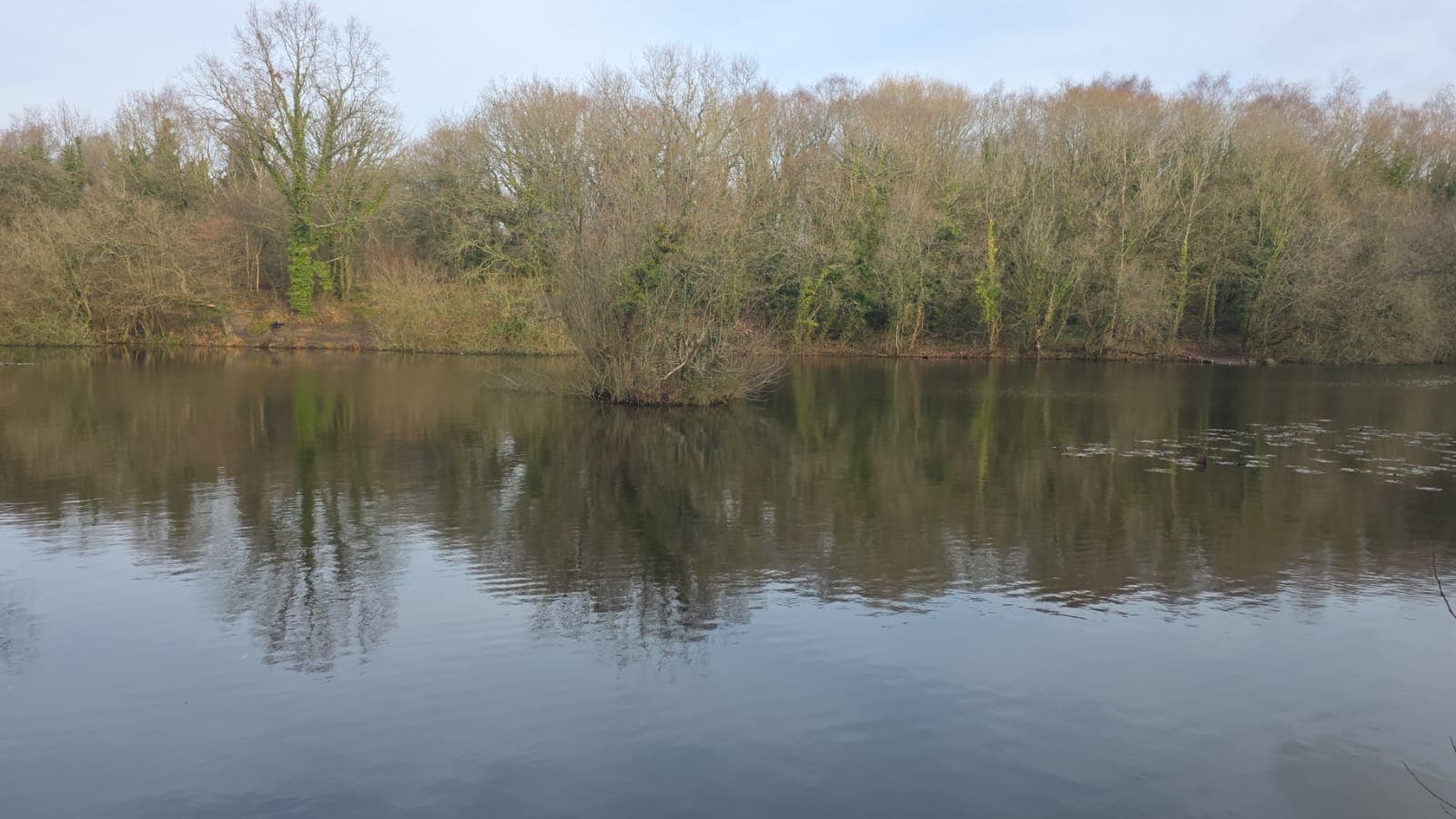 Rixton Clay Pits photo 16